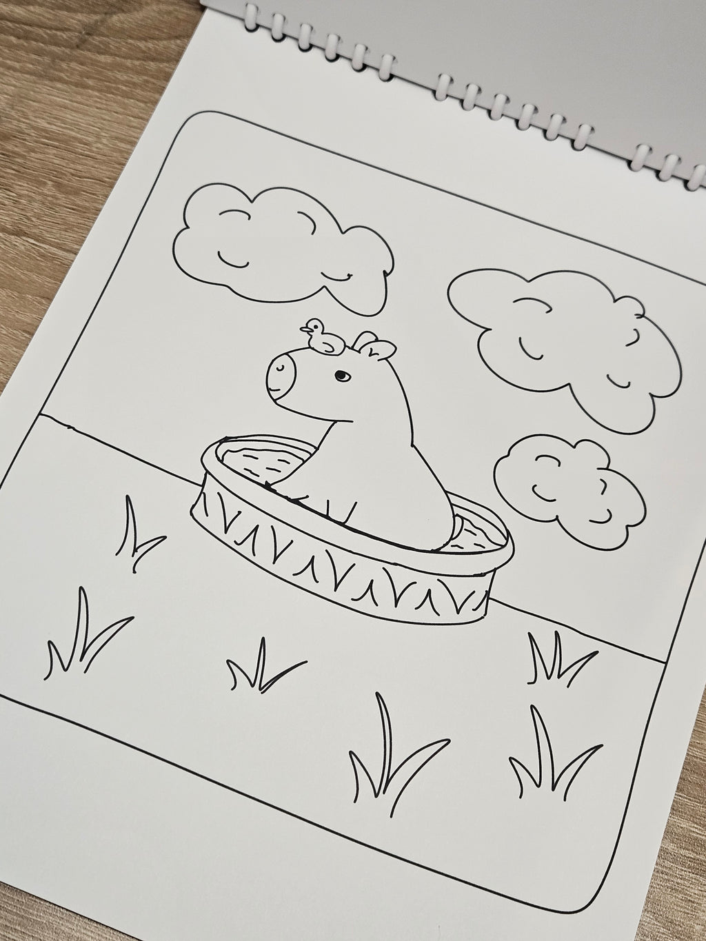 Rainforest Pals Coloring Book 20 Coloring Pages on 110lb Cardstock Paper Bold Designs for All Ages