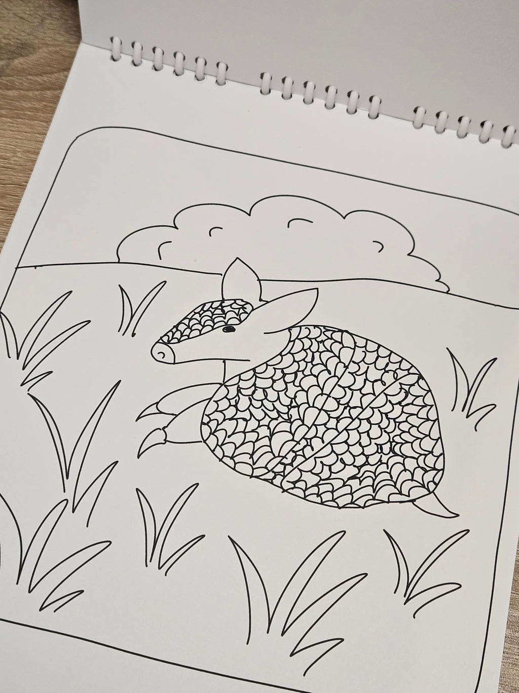 Rainforest Pals Coloring Book 20 Coloring Pages on 110lb Cardstock Paper Bold Designs for All Ages